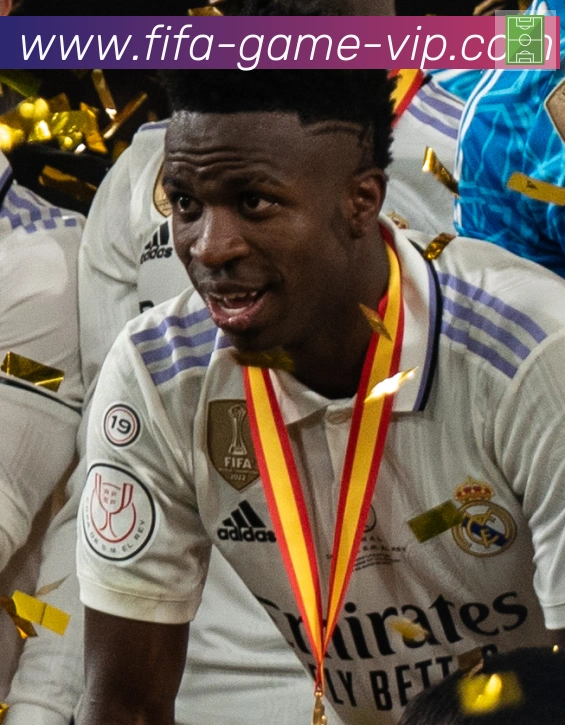 维尼修斯